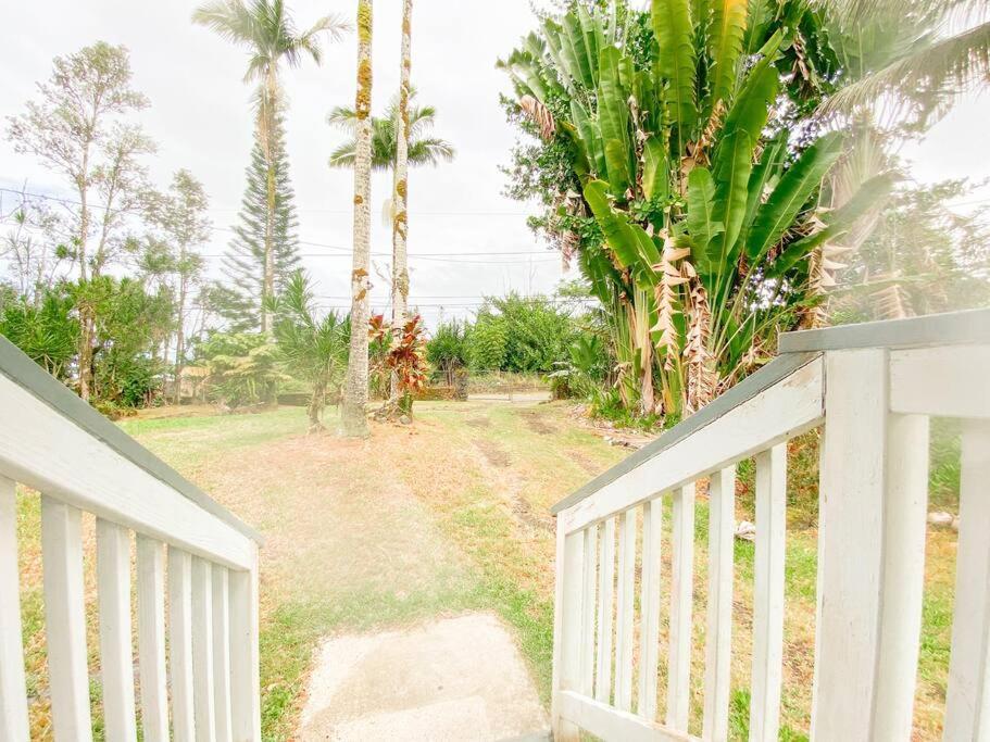 Monstera Bungalow, Spacious, King Bed, Big Kitchen Keaau Exteriör bild